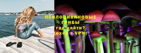 твердый Алзамай