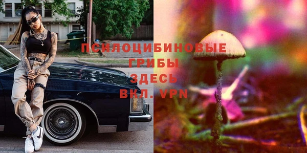 первитин Алексин