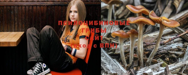 эйфоретик Алексеевка
