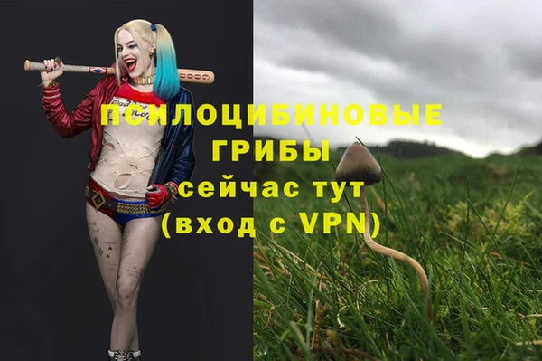 эйфоретик Алексеевка