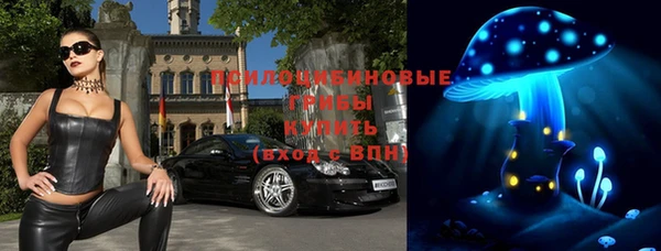 эйфоретик Алексеевка