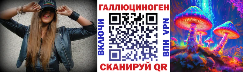 Псилоцибиновые грибы Psilocybe  MEGA ССЫЛКА  Волгоград 