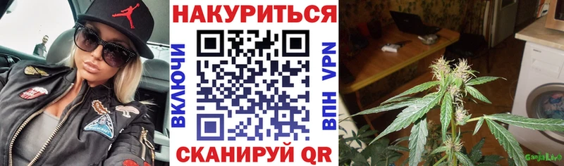 даркнет сайт  Волгоград  Конопля марихуана 